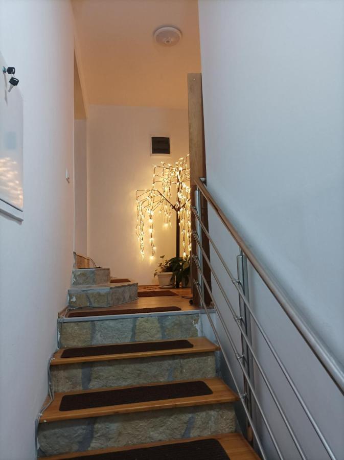 Apartmani Mladenovic Kijevo Exterior foto